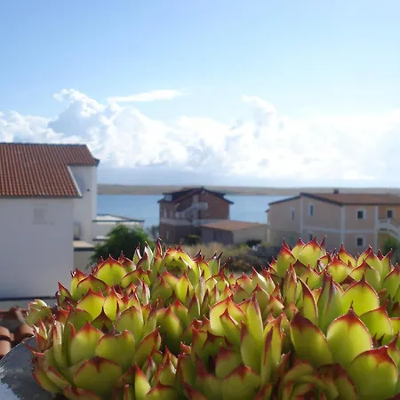 Apartment By The Sea - 18451 *